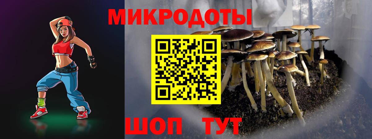 Псилоцибиновые грибы Magic Shrooms Кувандык